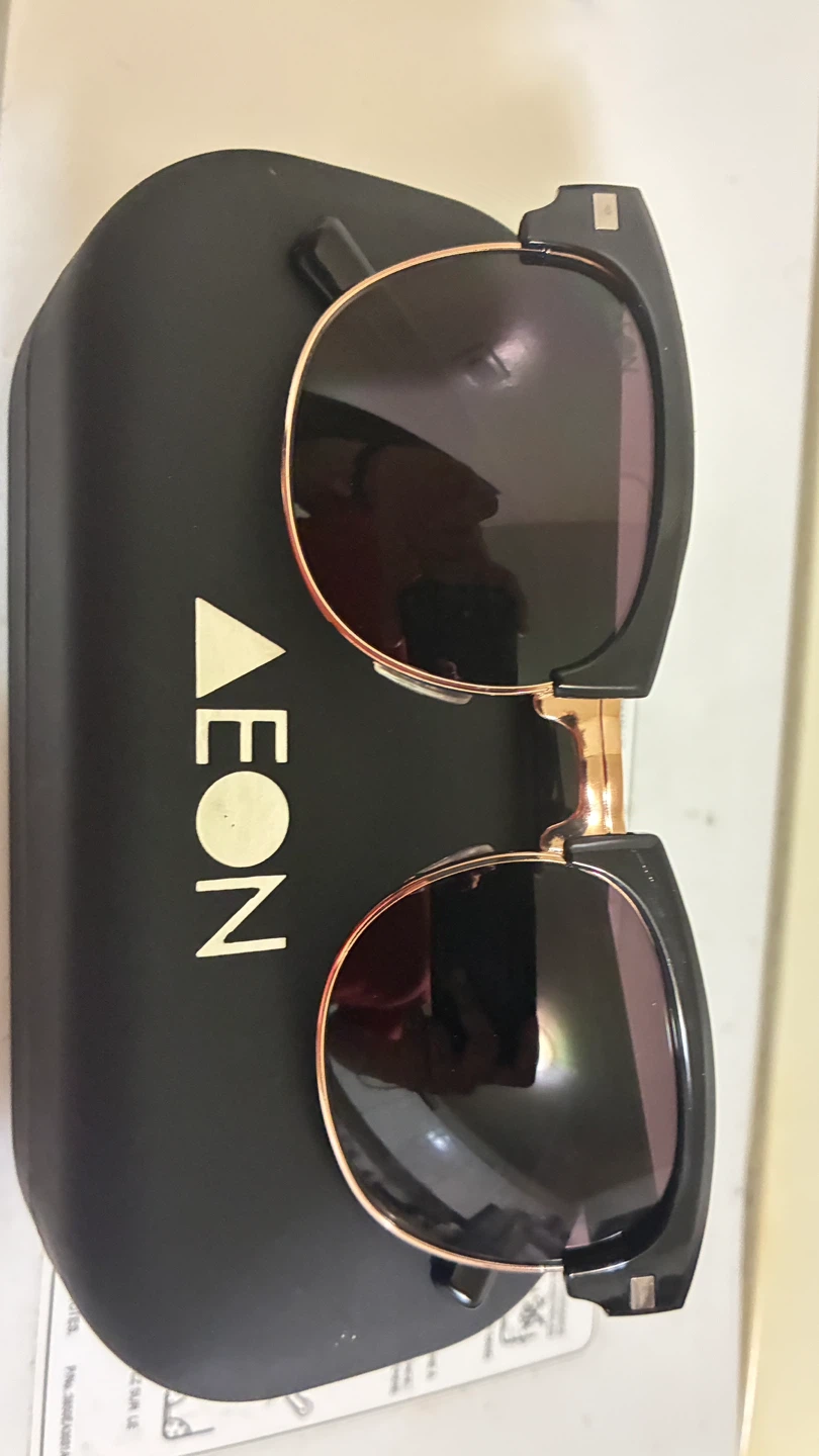 AEON ATTIRE Liger Sunglasses black rimmed