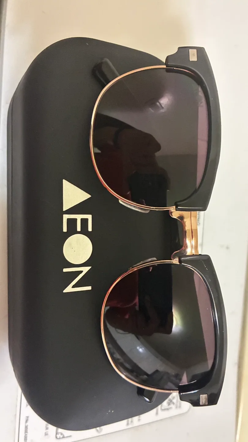 AEON ATTIRE Liger Sunglasses black rimmed - photo 4