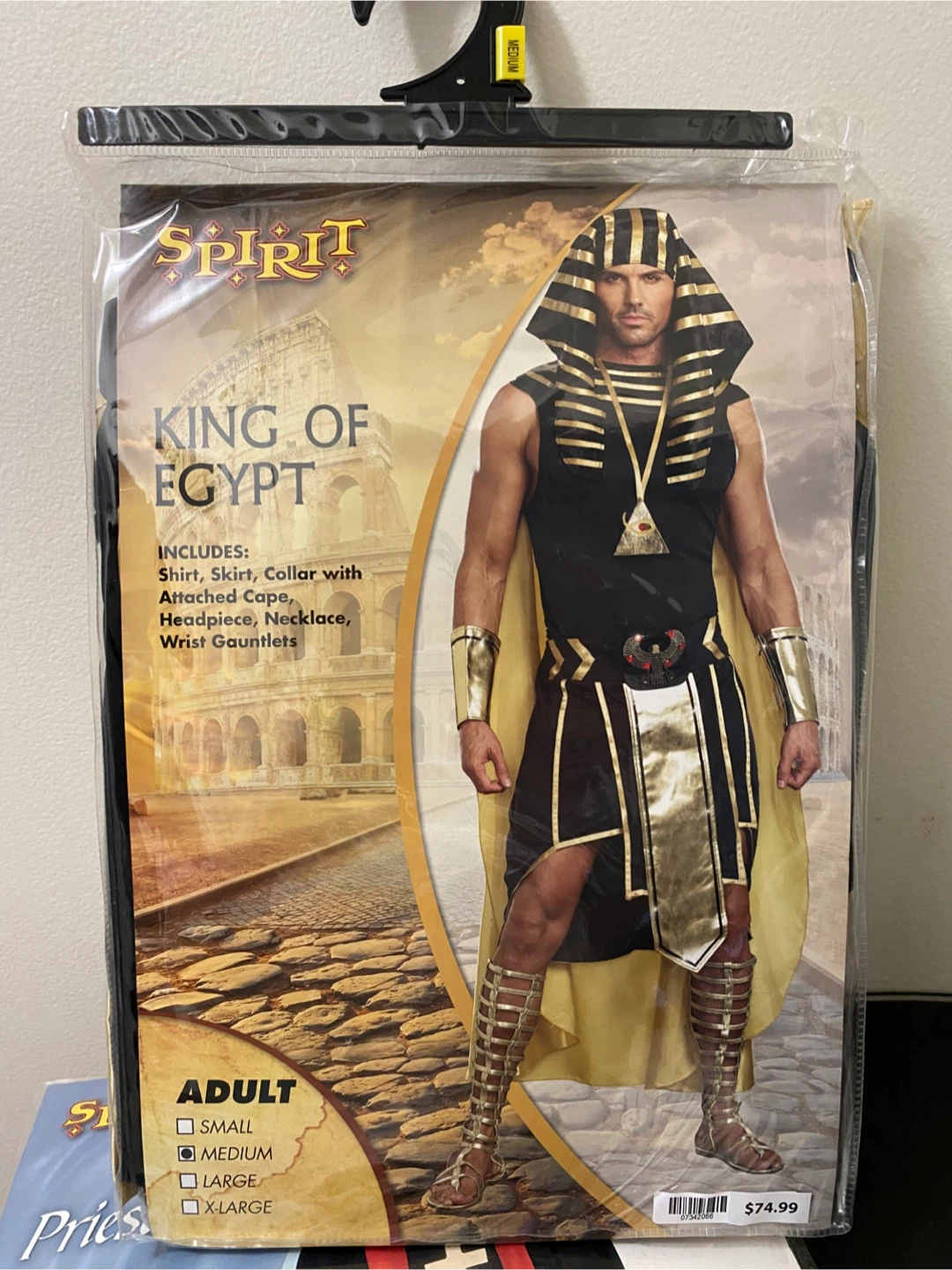 Spirit King of Egypt Costume - Adult Medium