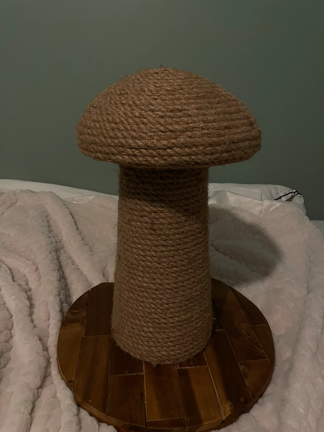 Mushroom Cat Scratcher