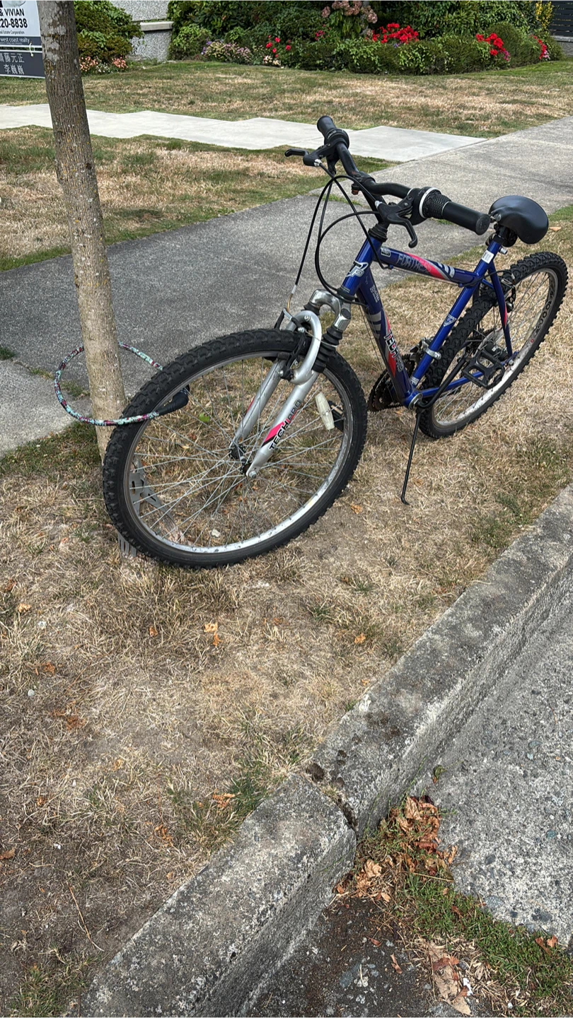 Blue and red mountain bike
