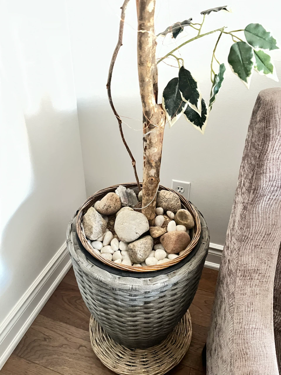 Artificial Ficus Tree in Pot - photo 3