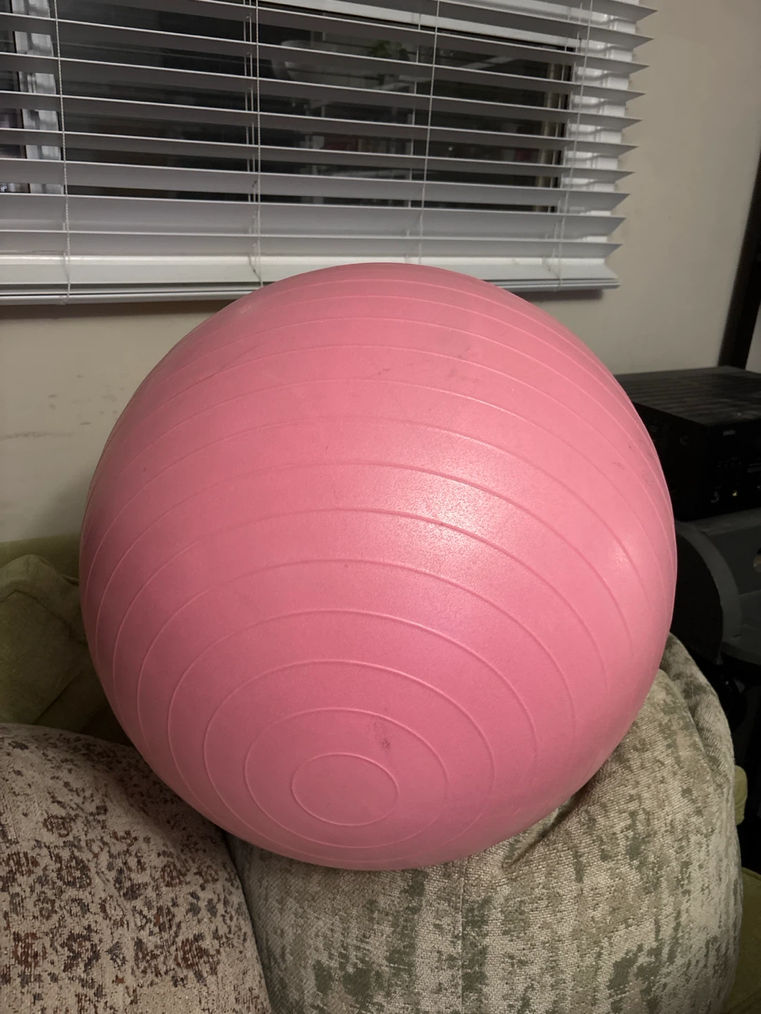 Pink Exercise Ball