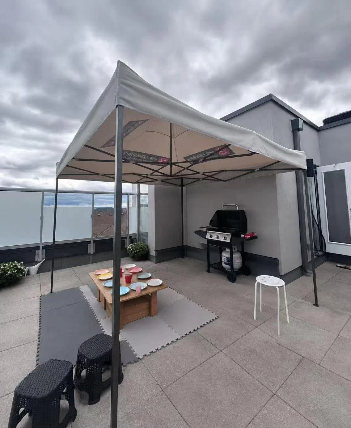 Pop-Up Canopy Tent with Carrying Bag