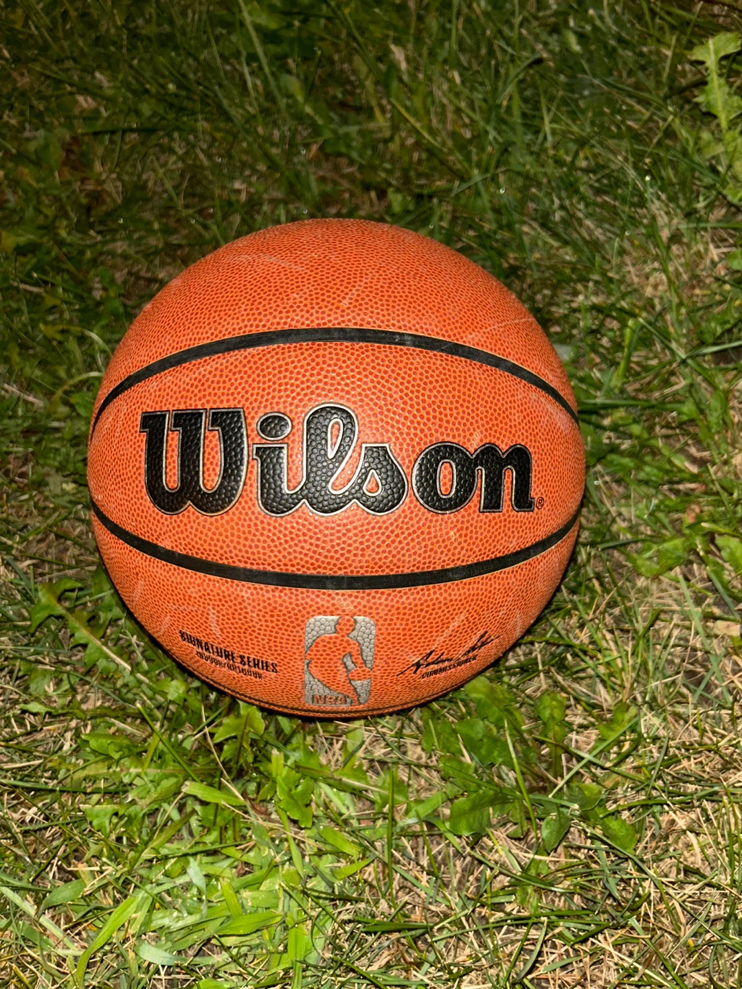 Wilson Signature Series Basketball