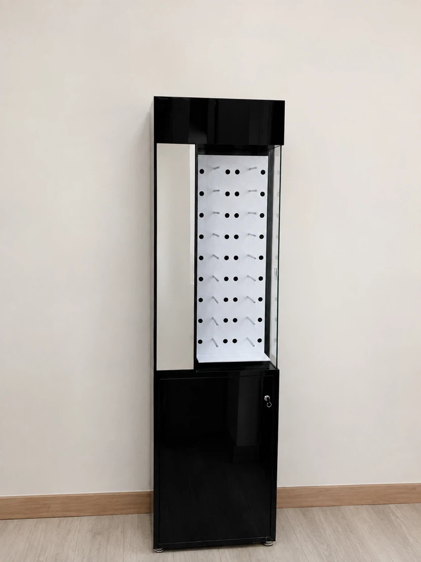 Black Display Cabinet with Lockable Door