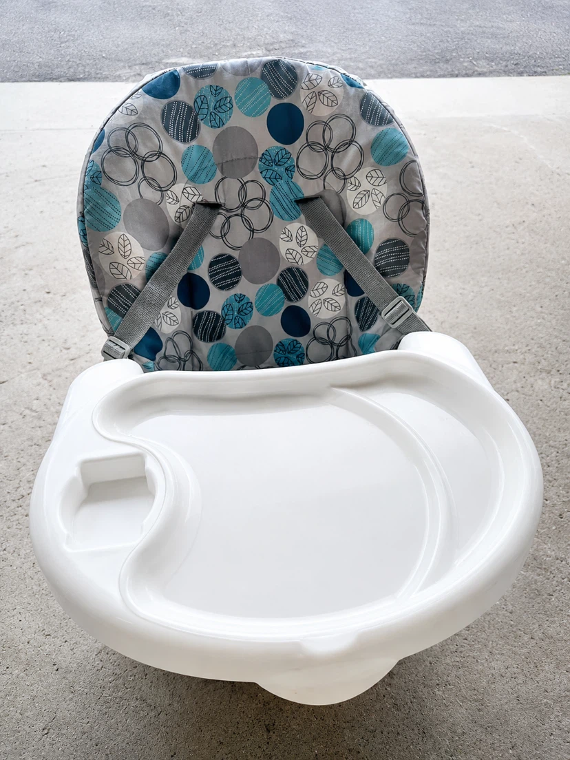 Booster Seat with Tray