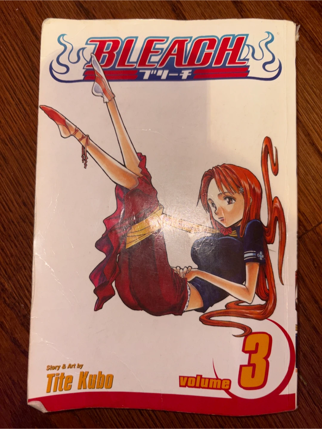Bleach Volume 3 Manga