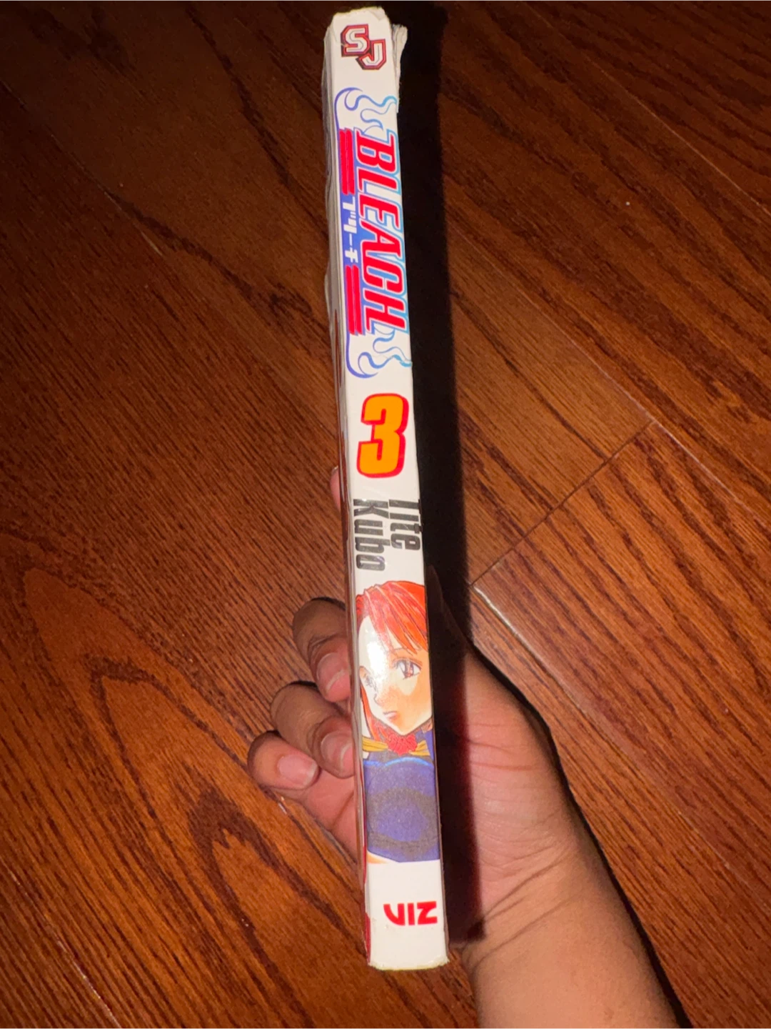 Bleach Volume 3 Manga - photo 3