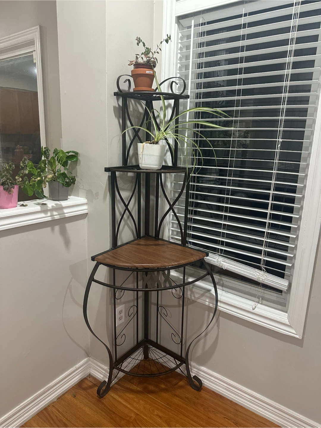 Corner Plant Stand