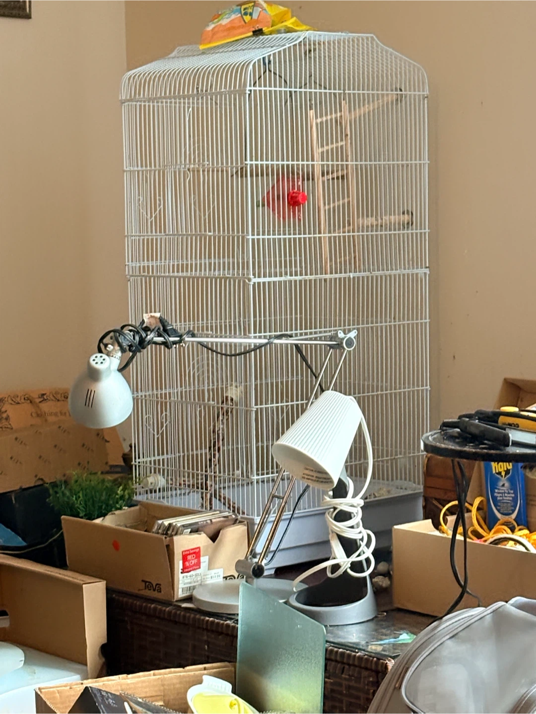 White Bird Cage with Accessories