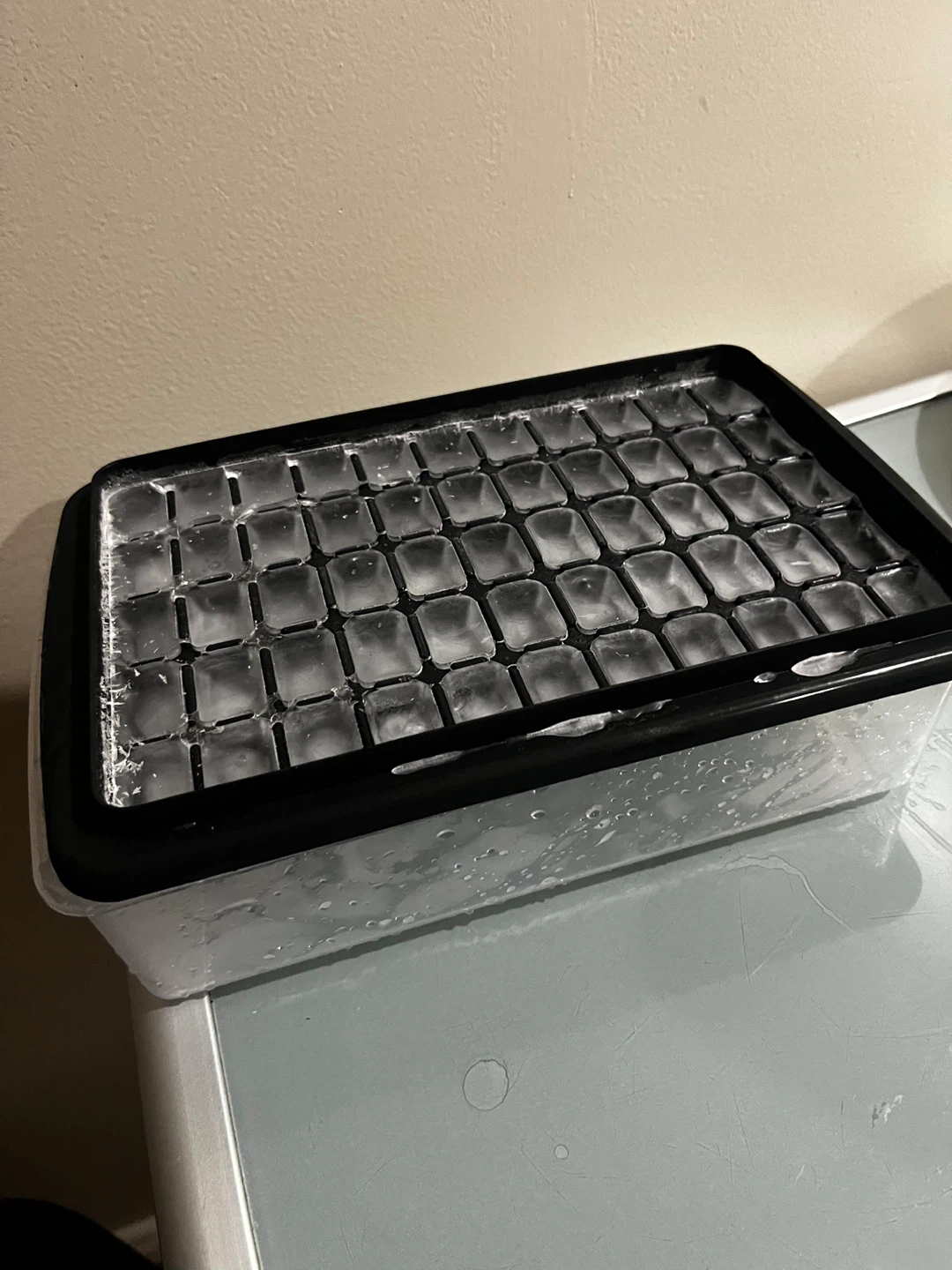 Ice cube tray with storage bin