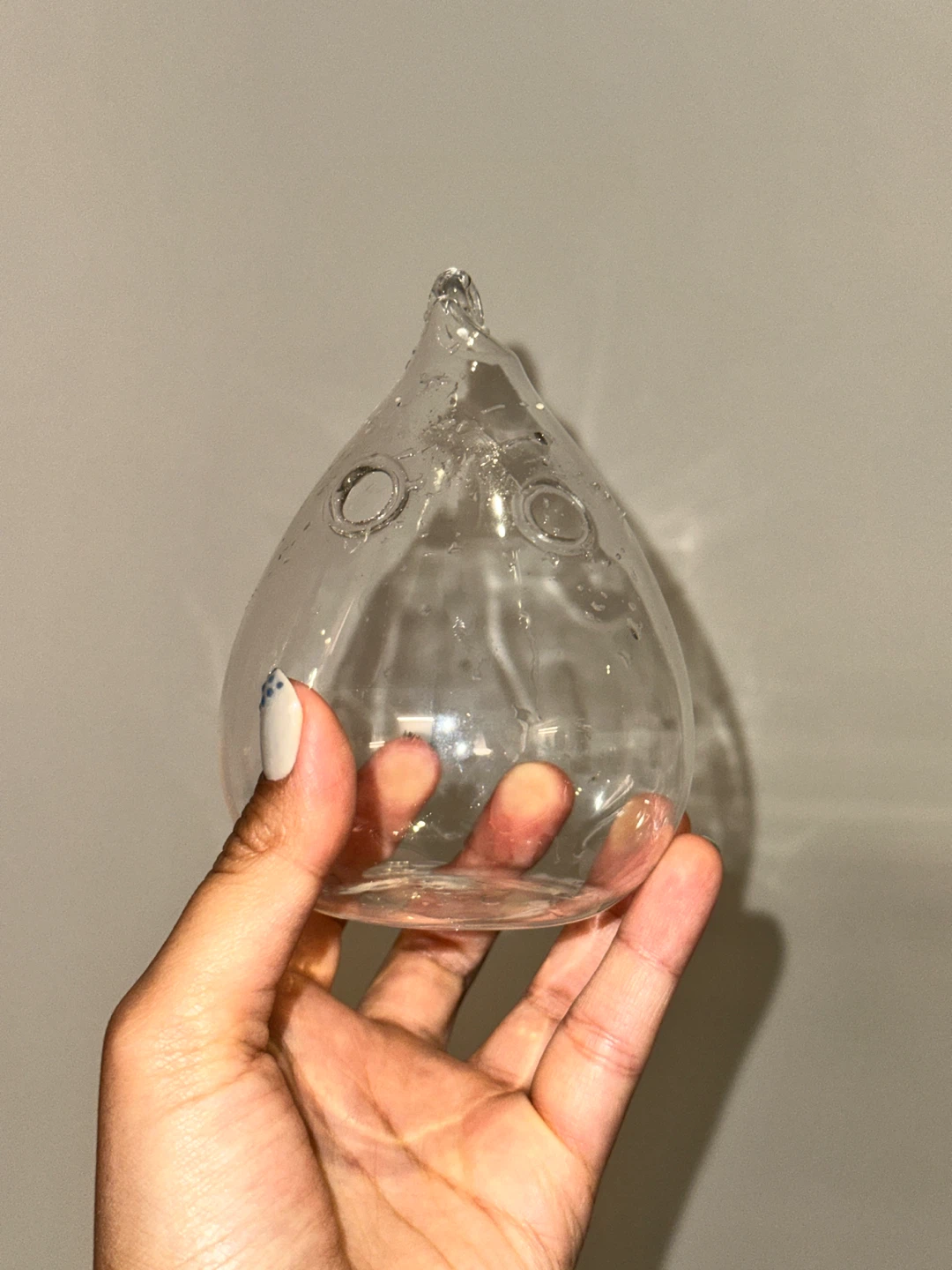 Glass Plant Propogation Vassels - photo 3