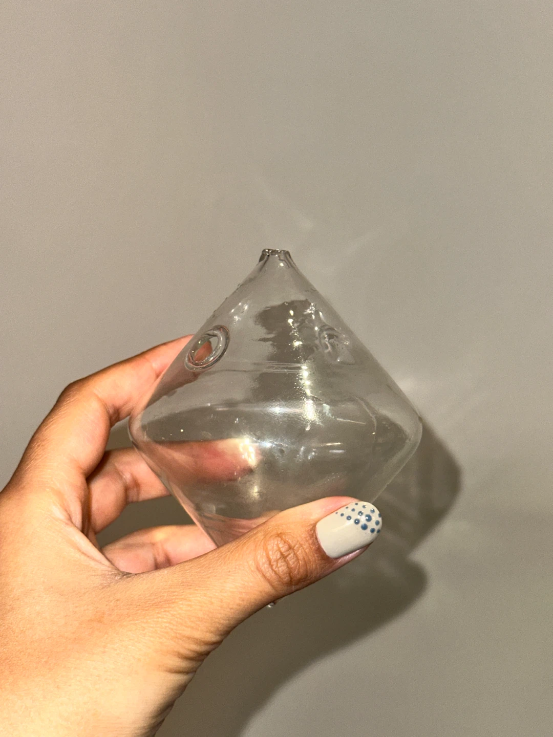 Glass Plant Propogation Vassels - photo 4
