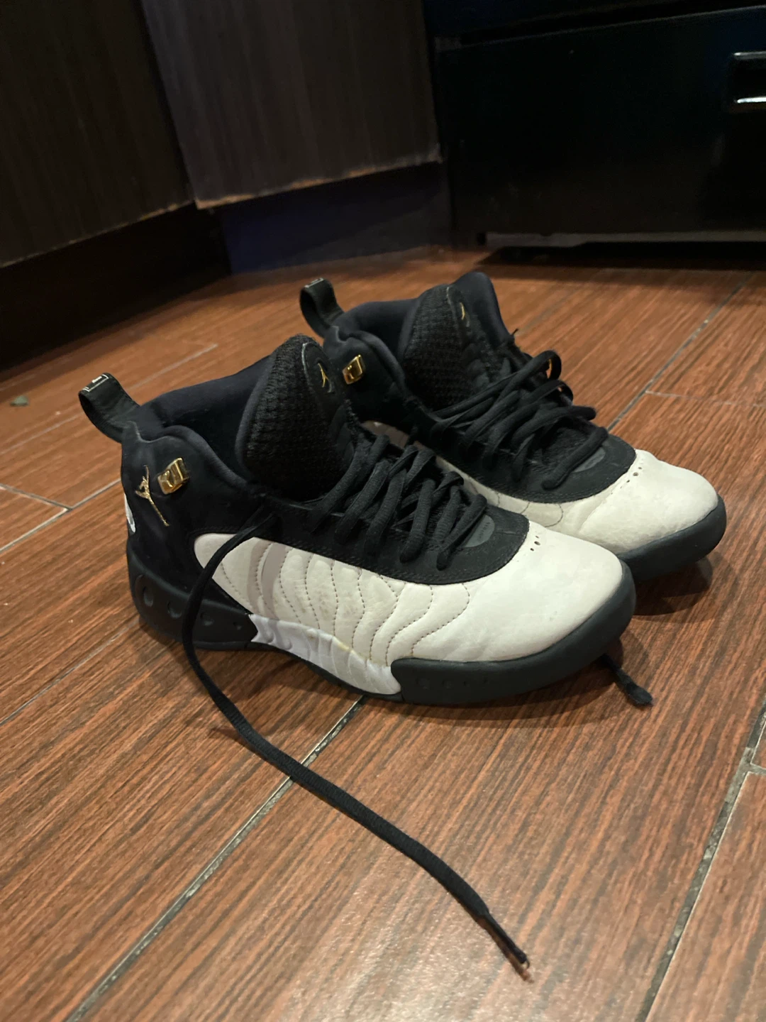 Jordan 12 Retro Shoes