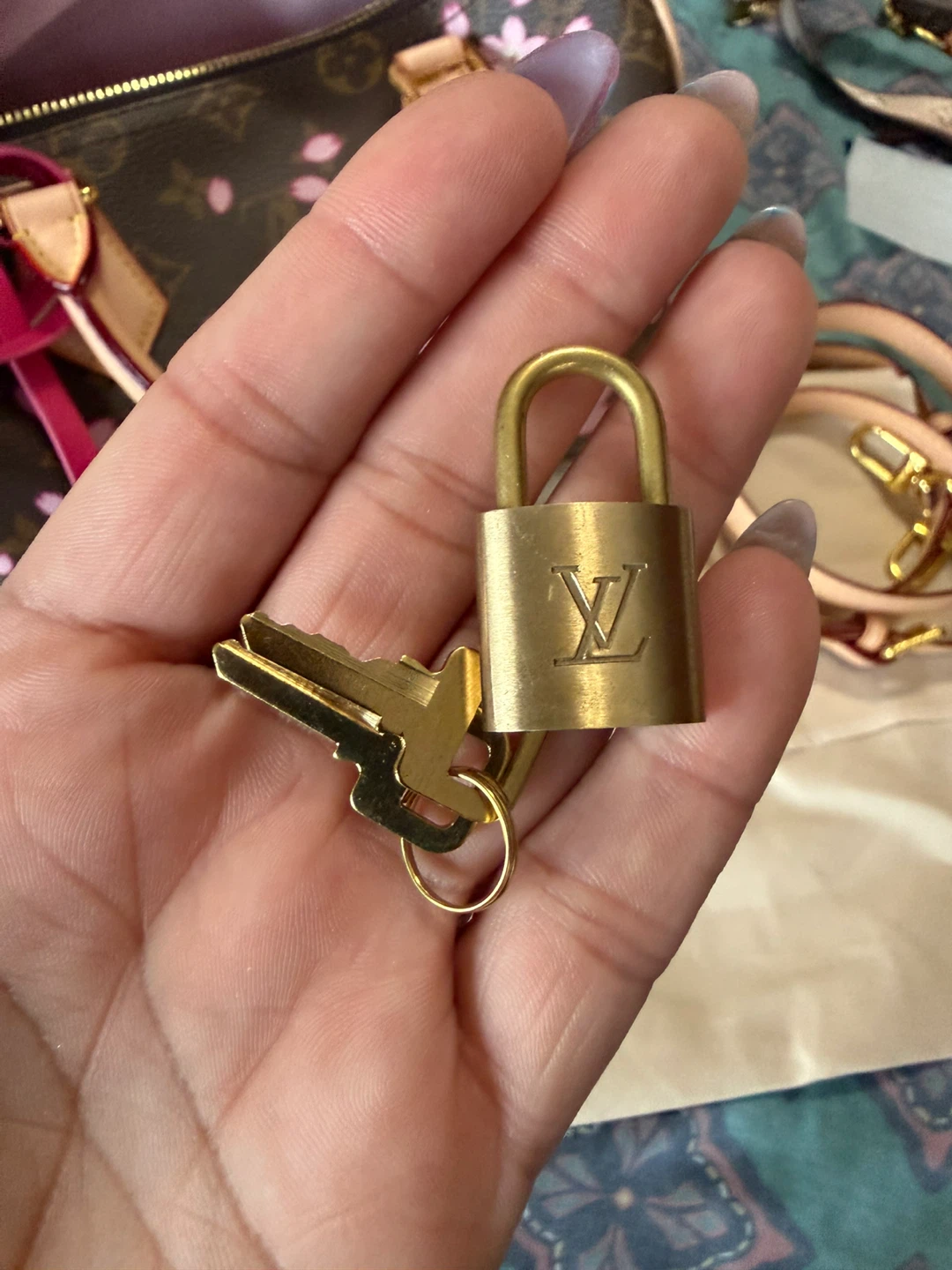 Louis Vuitton x Murakami Cherry Blossom Speedy Bag - photo 4