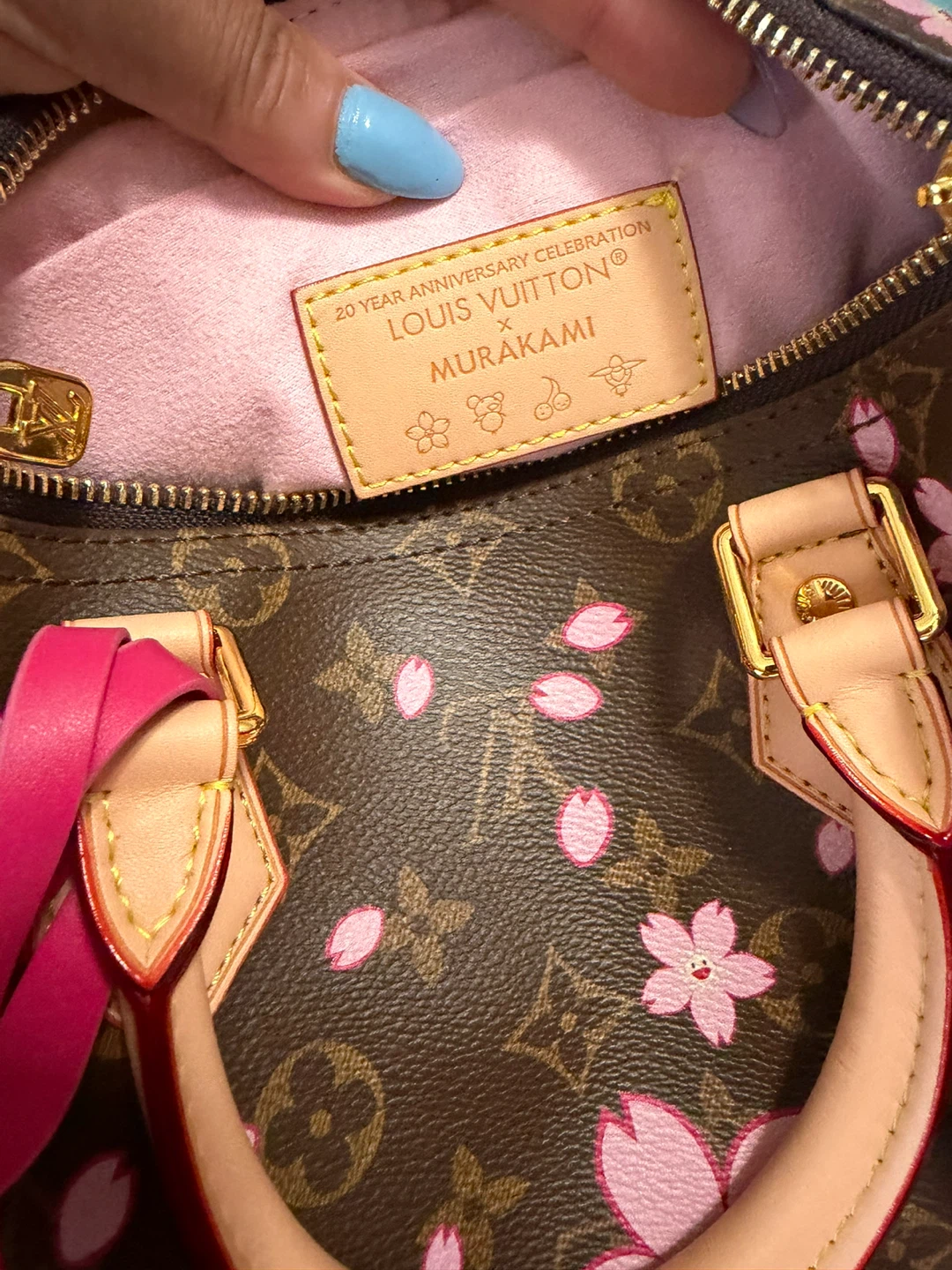 Louis Vuitton x Murakami Cherry Blossom Speedy Bag - photo 5