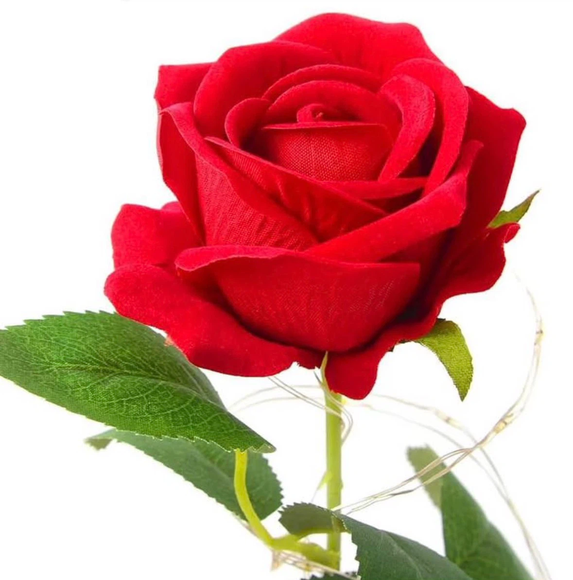 Eternal Flower Rose, Red Romantic Rose in a Glass Dome