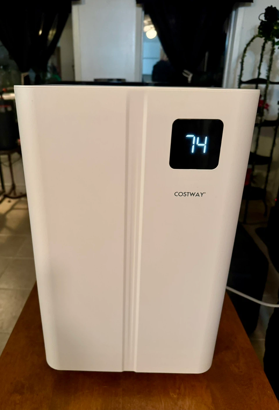 Dehumidifier