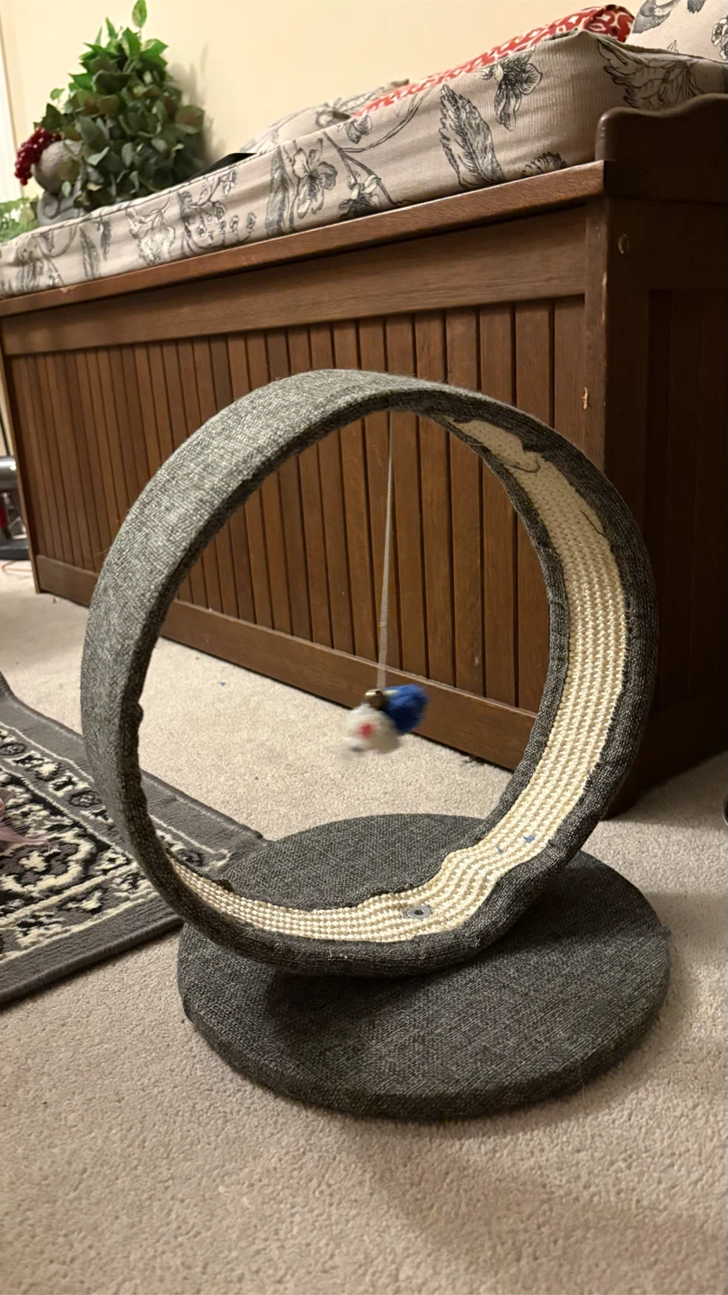 Cat Scratcher Wheel with Dangling Toy