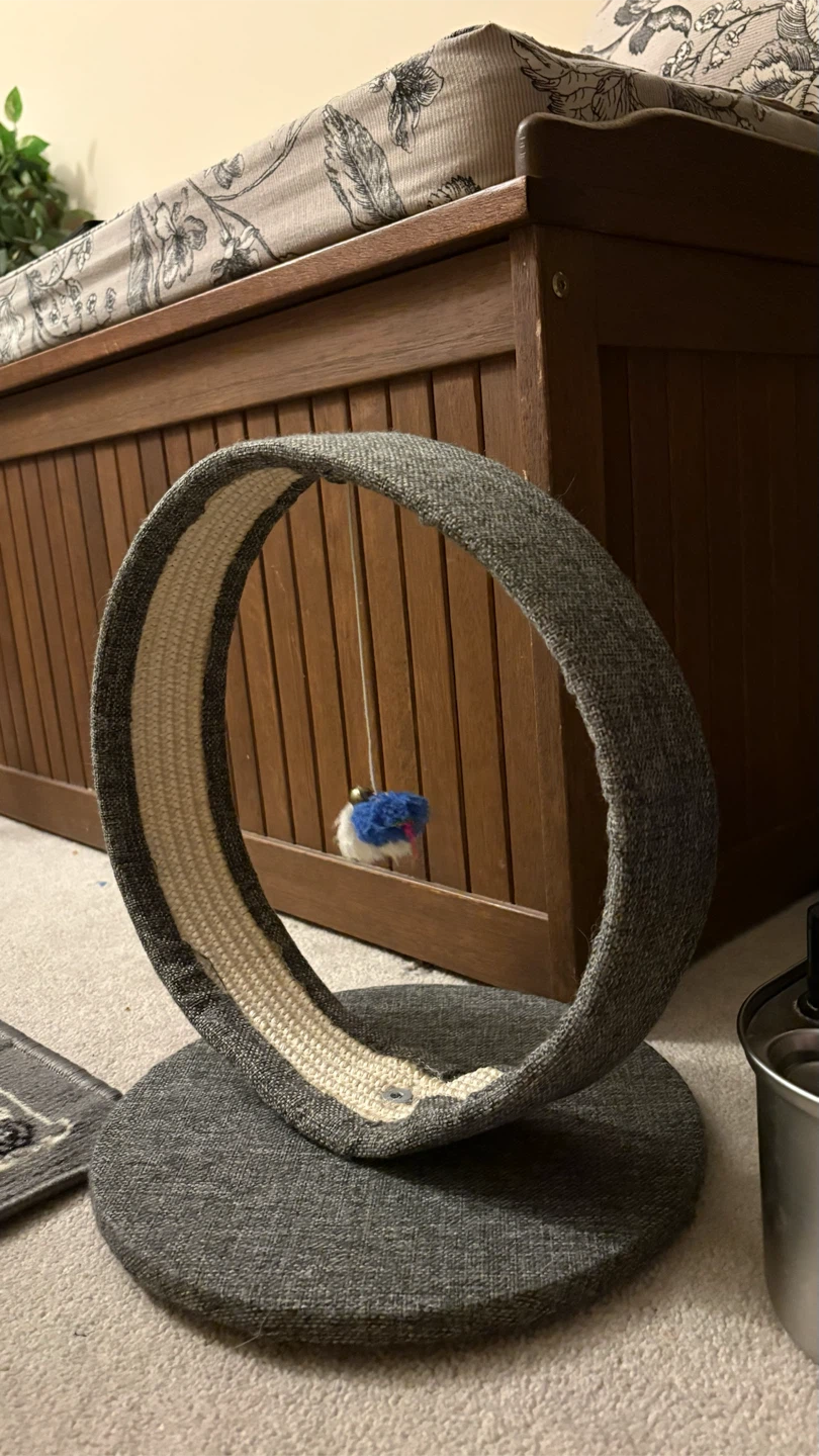 Cat Scratcher Wheel with Dangling Toy - photo 2