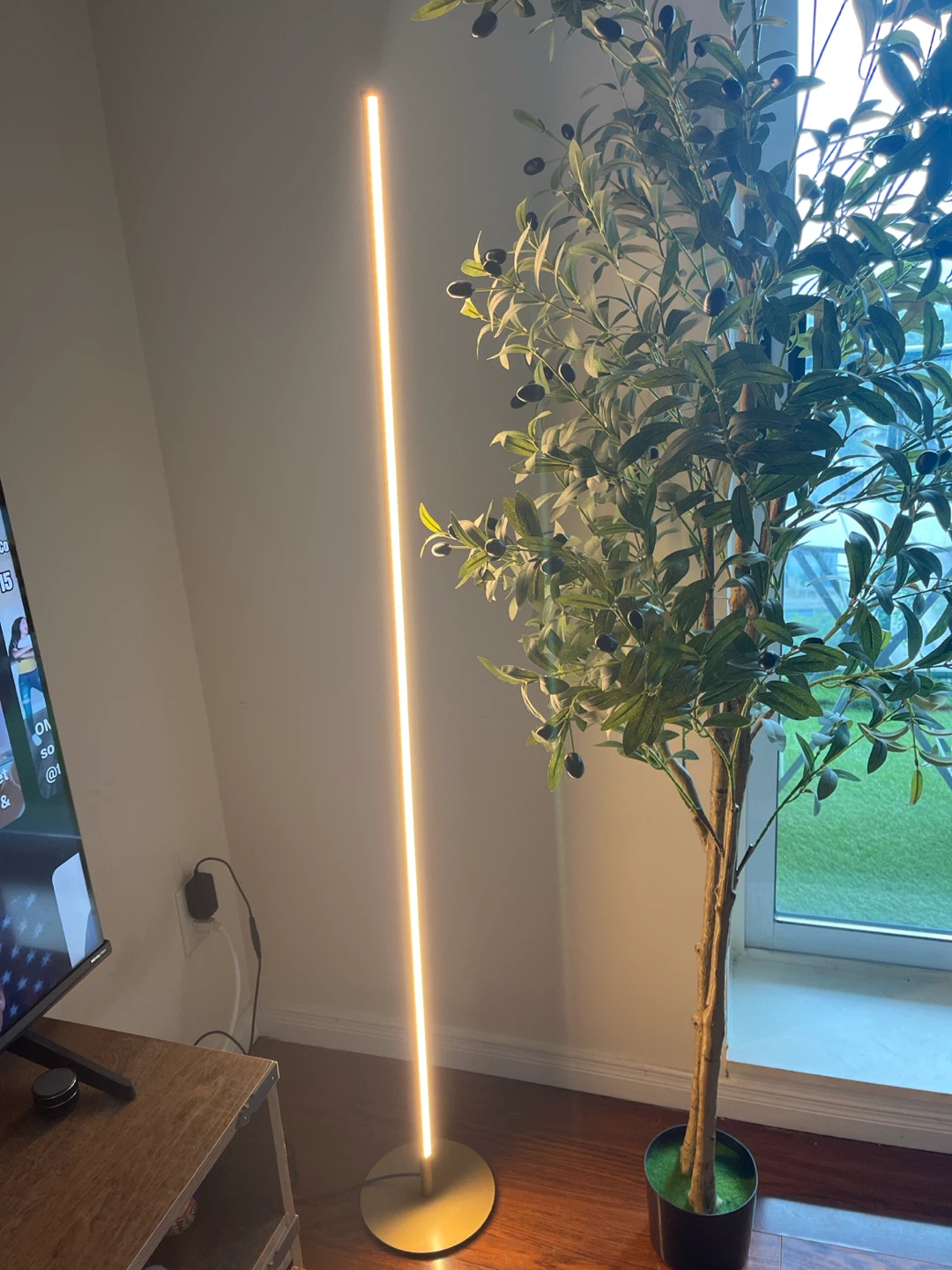 Modern LED Floor Lamp