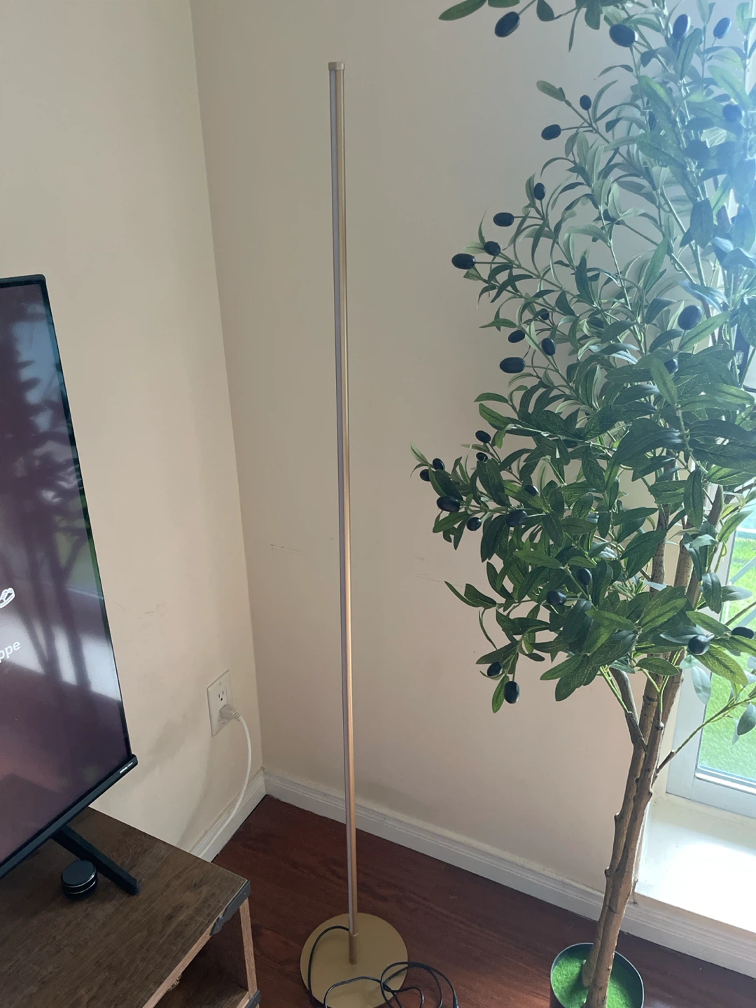 Modern LED Floor Lamp - photo 2