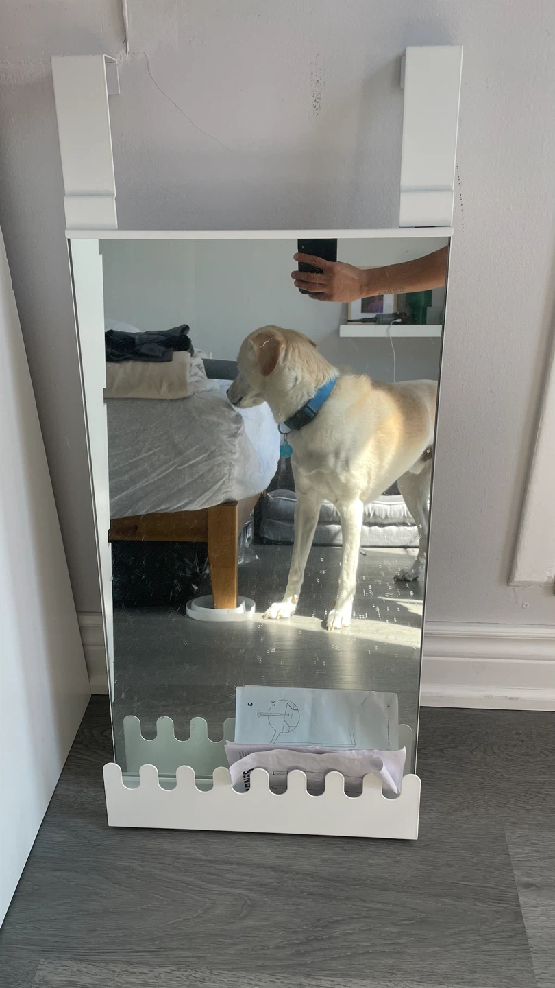 IKEA GARNES Over-the-Door Mirror with Hooks - photo 2