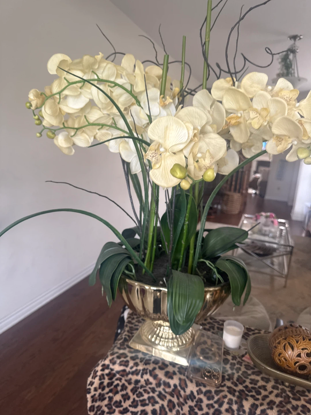 Cream Orchid Arrangement in Gold Urn
