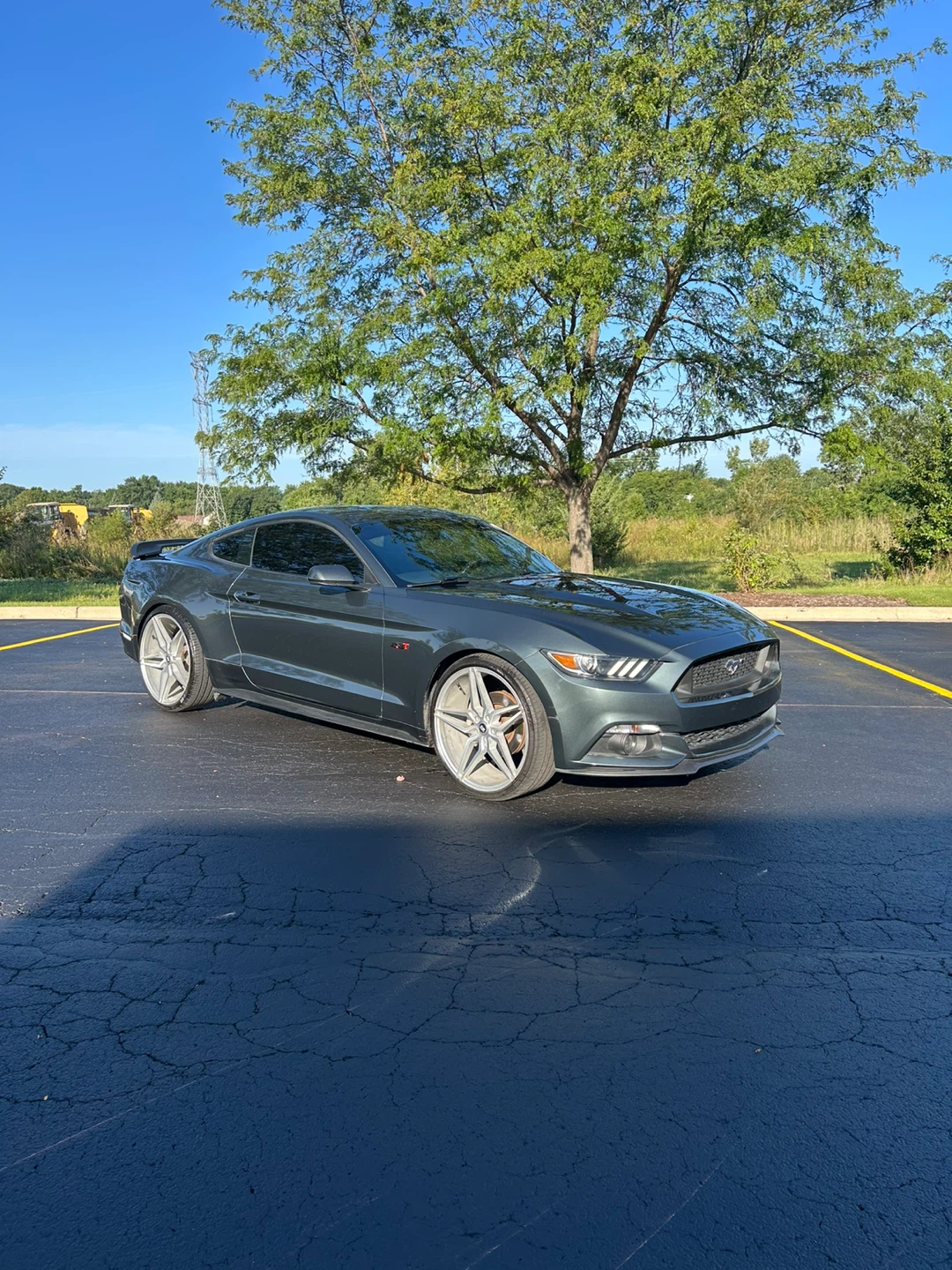 2016 Ford Mustang EcoBoost Premium Coupe - photo 4