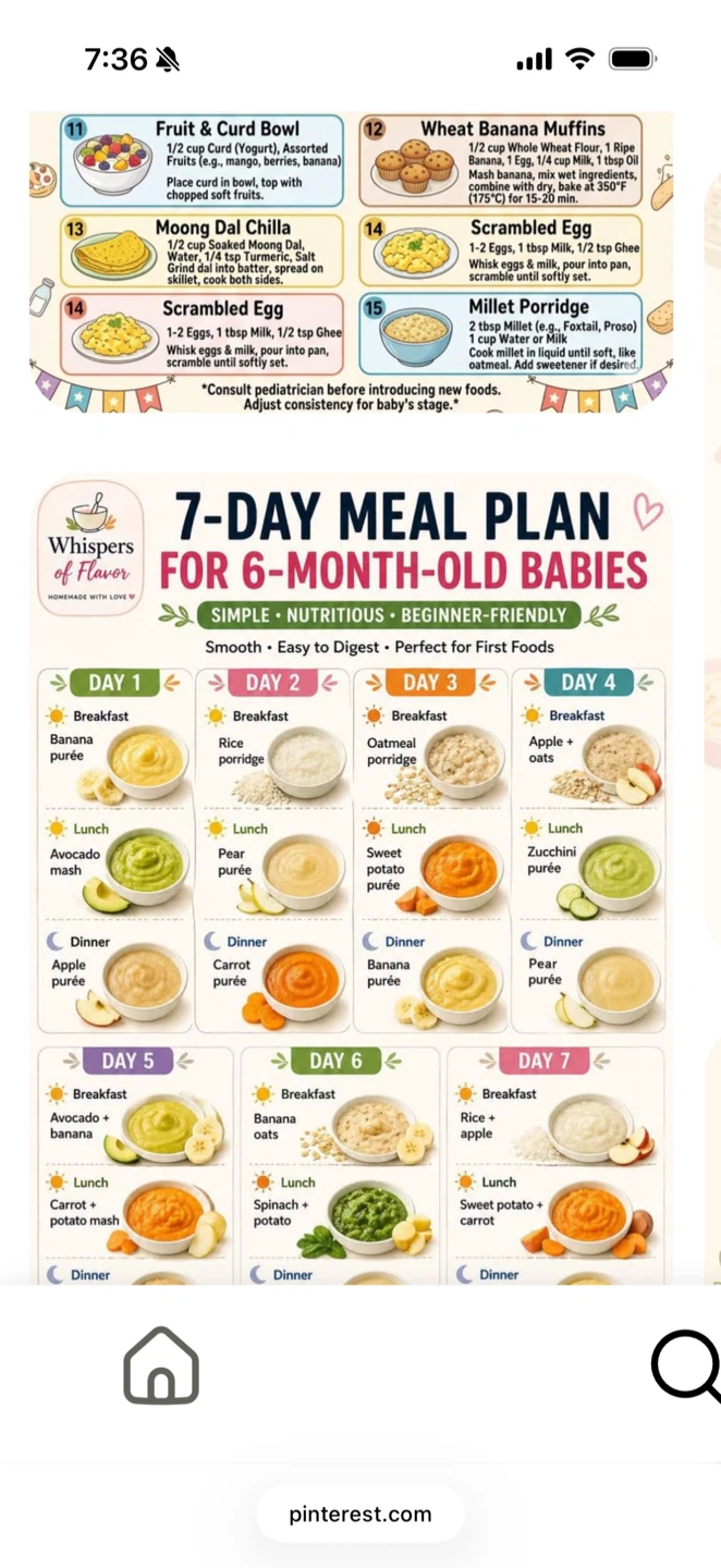 Whispers of Flavor 7-Day Meal Plan for 6-Month-Old Babies