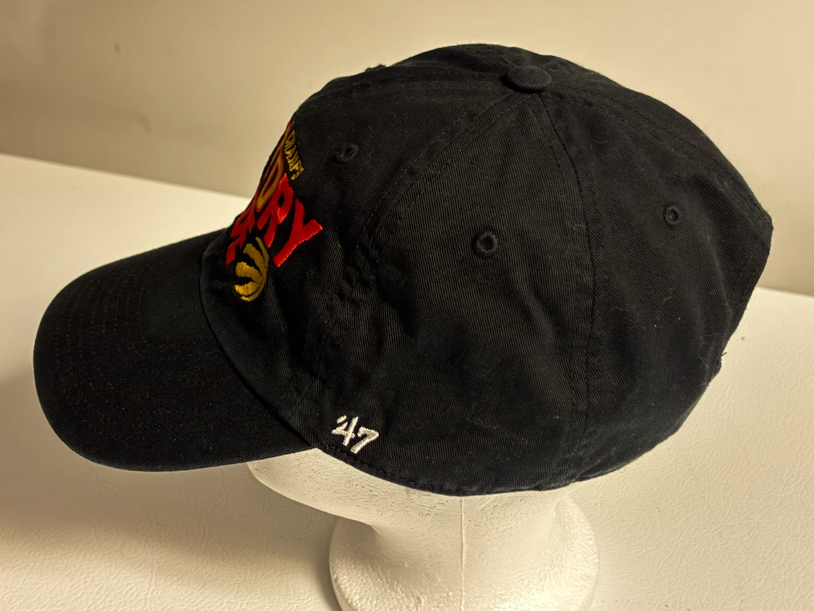47 Brand Toronto Raptors 2019 NBA Champs Hat - photo 3