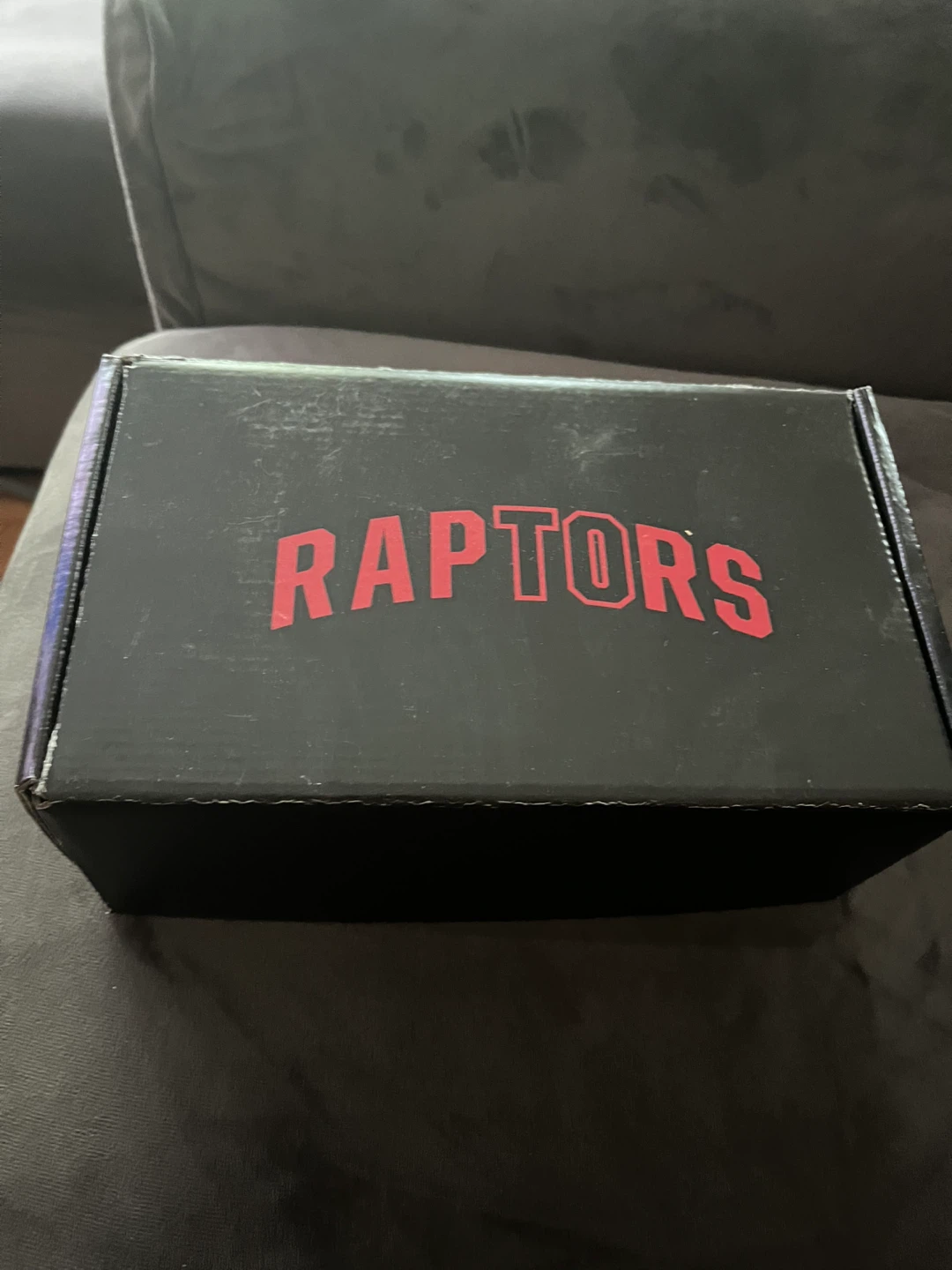 Toronto Raptors 2021-2022 Season Glass Set with Patch & Schedule - photo 3
