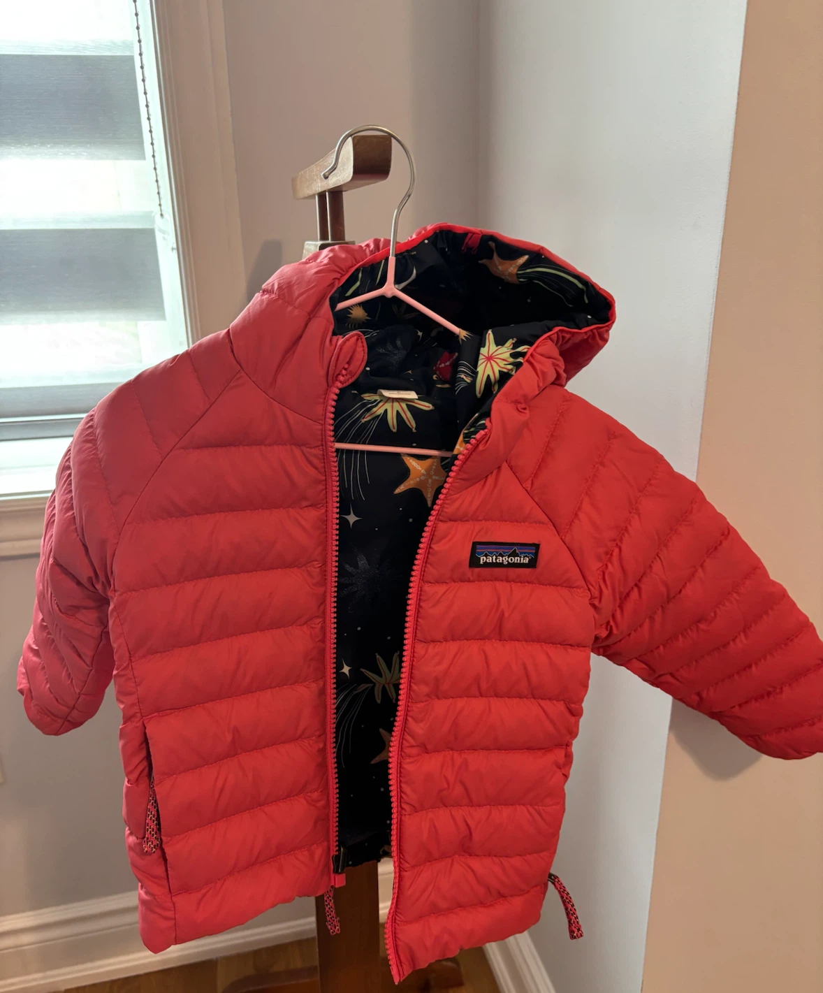 Patagonia Reversible Down Jacket