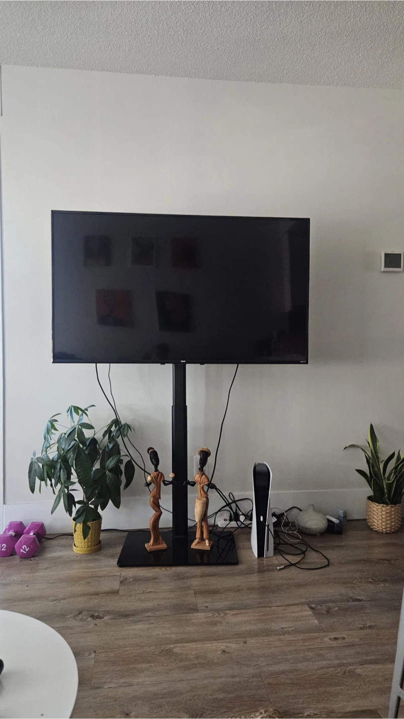 RCA 55” 4K UHD Roku Smart TV + Adjustable TV Stand - photo 2
