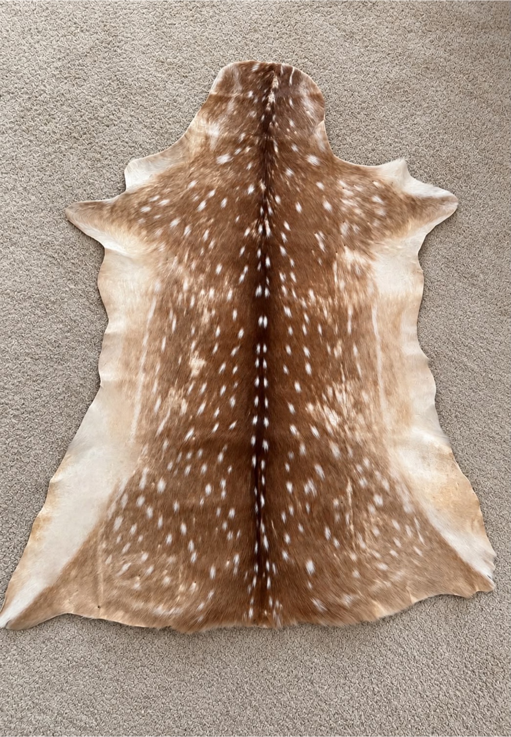 Top Grade Axis Deer Skin - photo 2