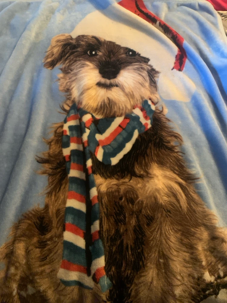 Fleece Blanket with Dog and Scarf Print