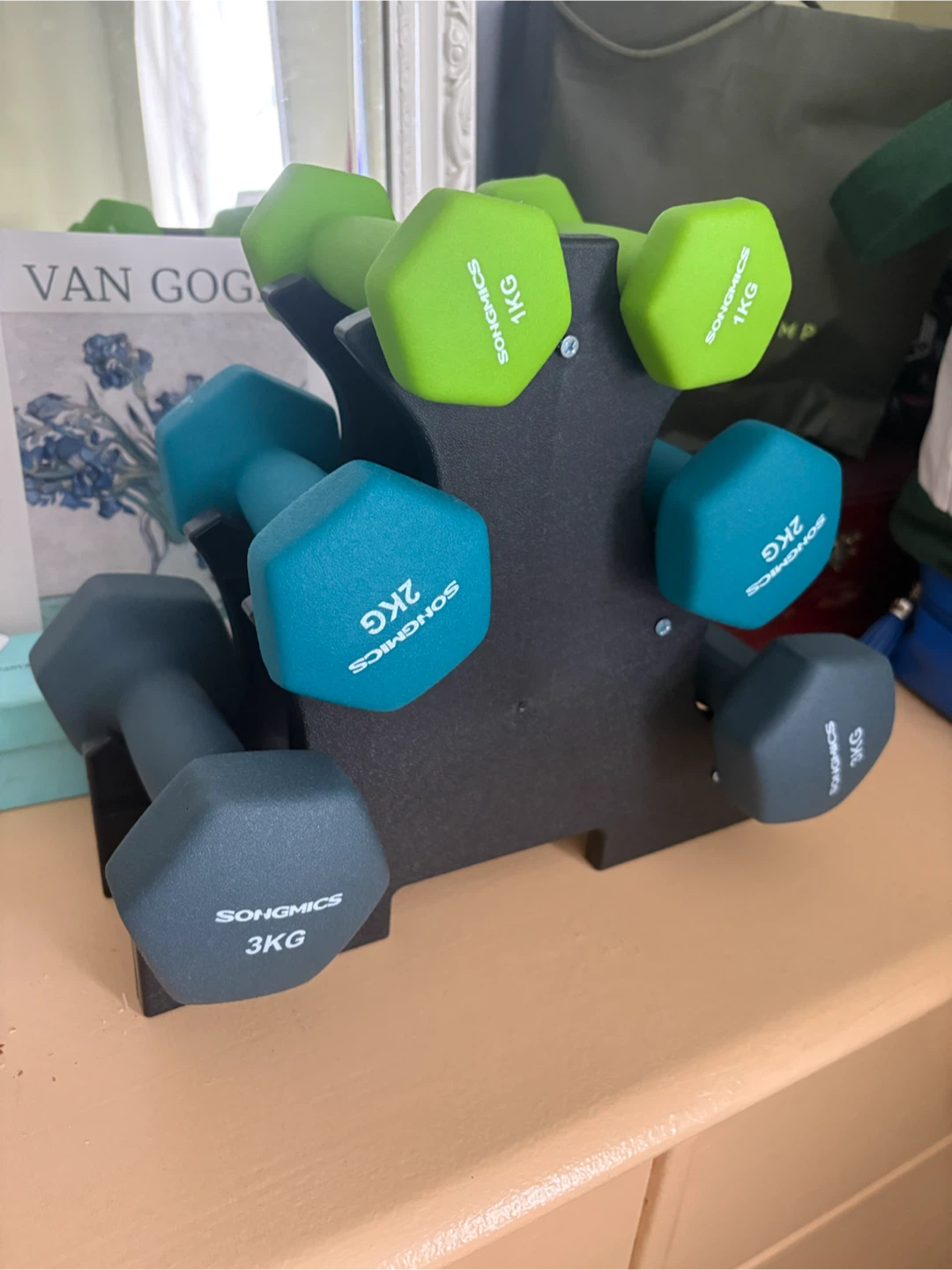Songmics Dumbbells with Rack (1kg, 2kg, 3kg)