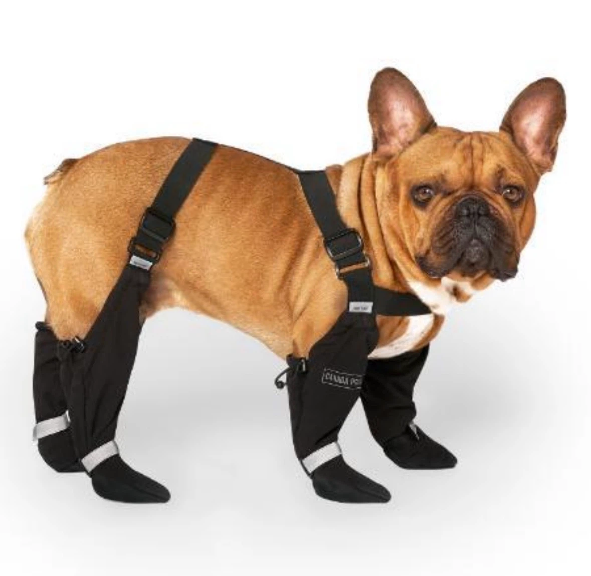 Canada Pooch dog boots with suspenders
