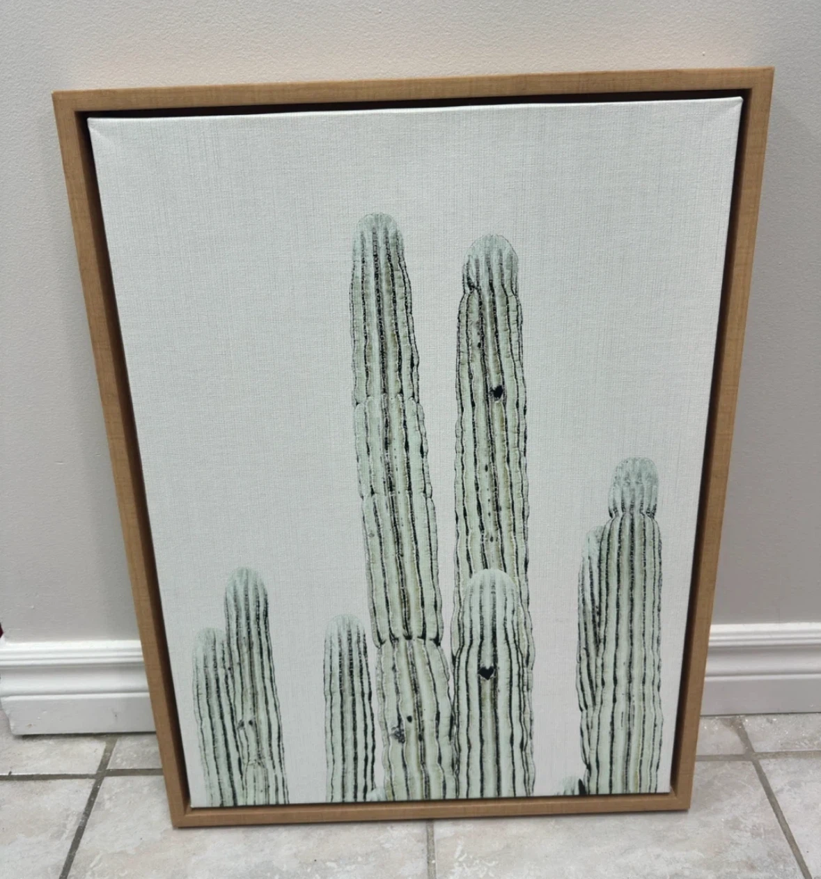 Simon Te Tai Prints Framed Canvas Art Saguaro Cactus 18x24 in