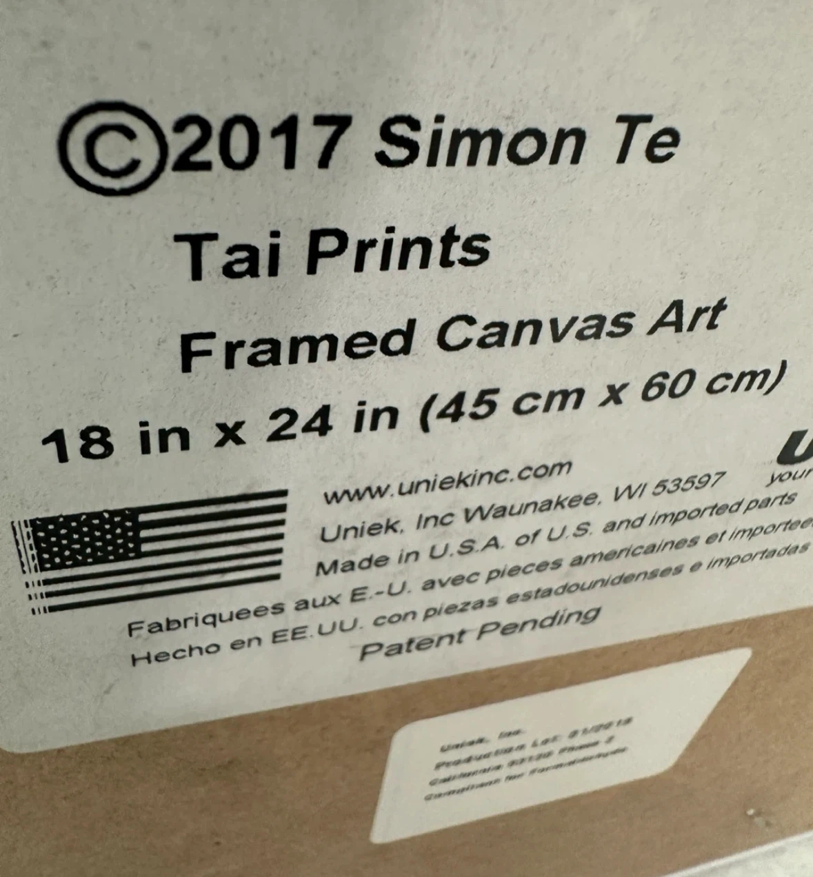 Simon Te Tai Prints Framed Canvas Art Saguaro Cactus 18x24 in - photo 2