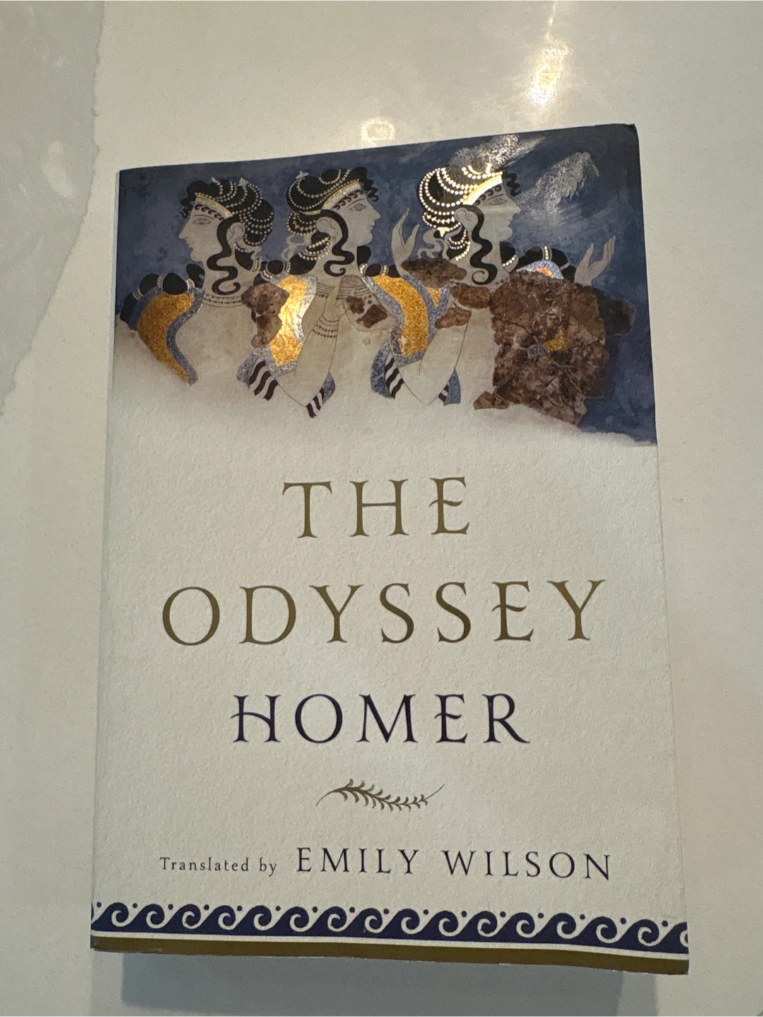 The Odyssey by Homer Translated by Emily Wilson