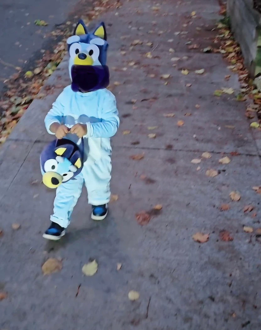 Bluey Costume 12-18 Months - photo 3