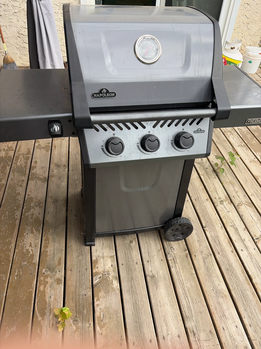 Napoleon Propane Grill