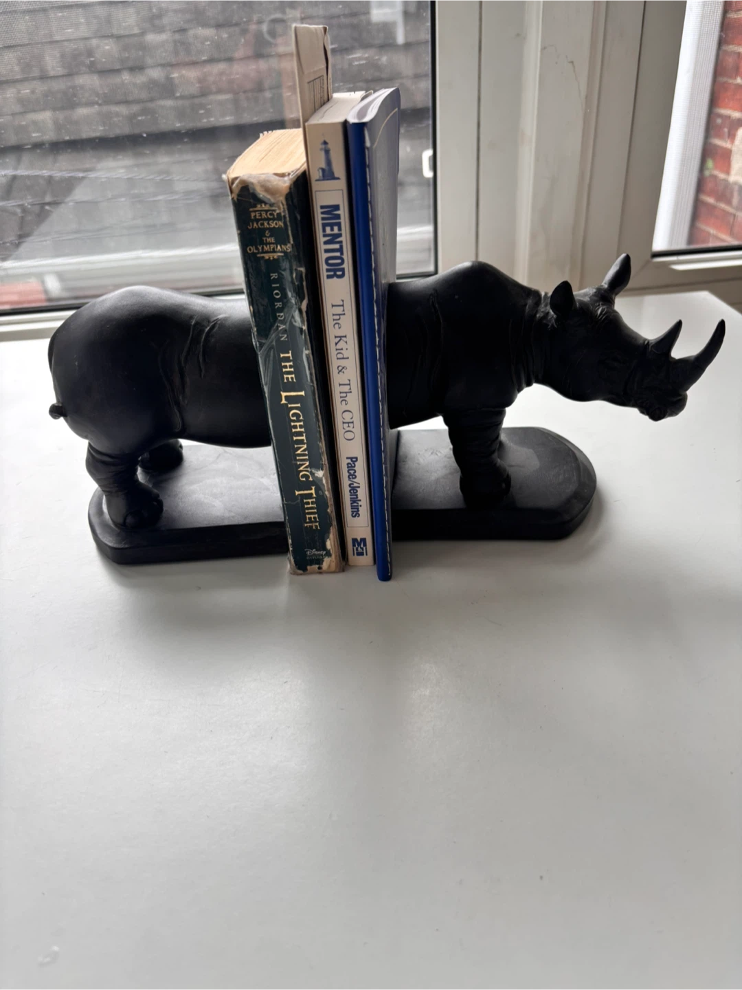 Black Rhino bookends
