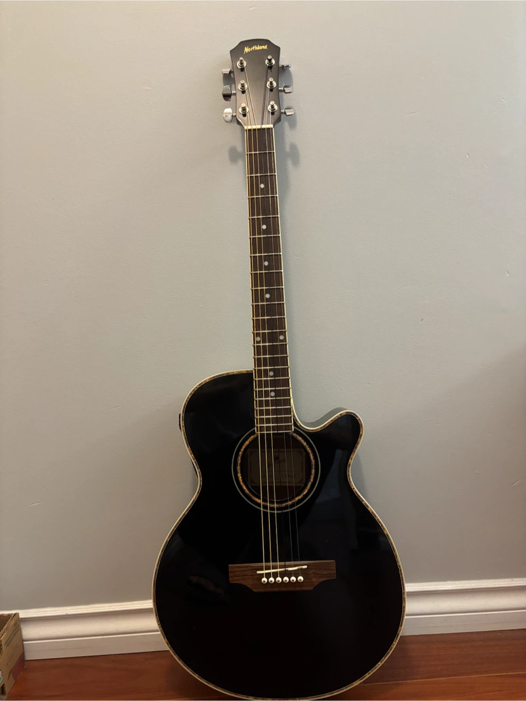 Acoustic Electric Hybrid Guitar with Gator Case