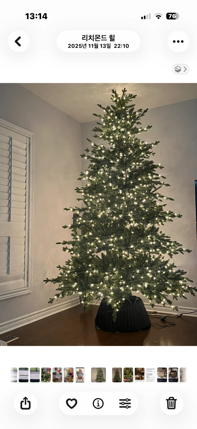 Beautiful CANVAS Oxford Liberty Pine 9’ Pre-Lit Christmas Tree.