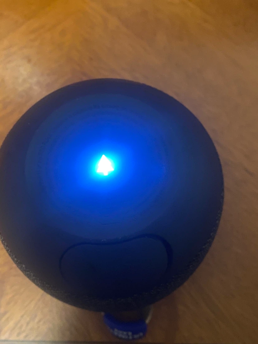 WONDERBOOM 4 - photo 3