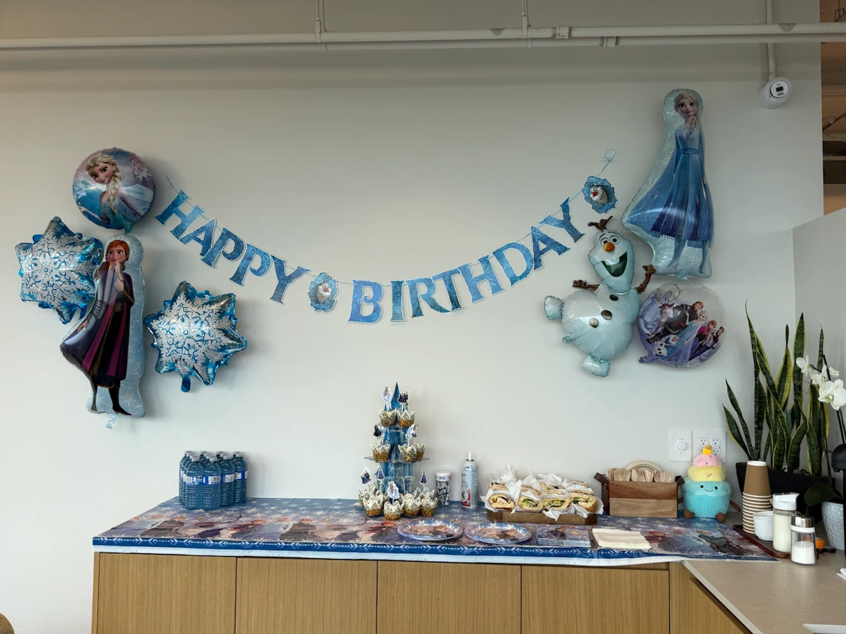 Frozen Birthday Party Decoration Set