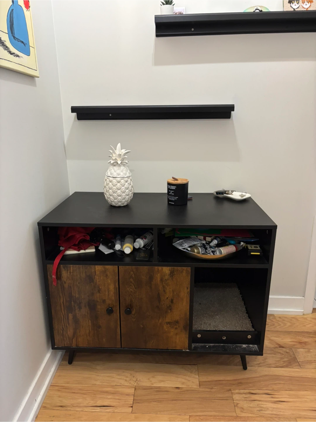 Modern cat litter enclosure cabinet